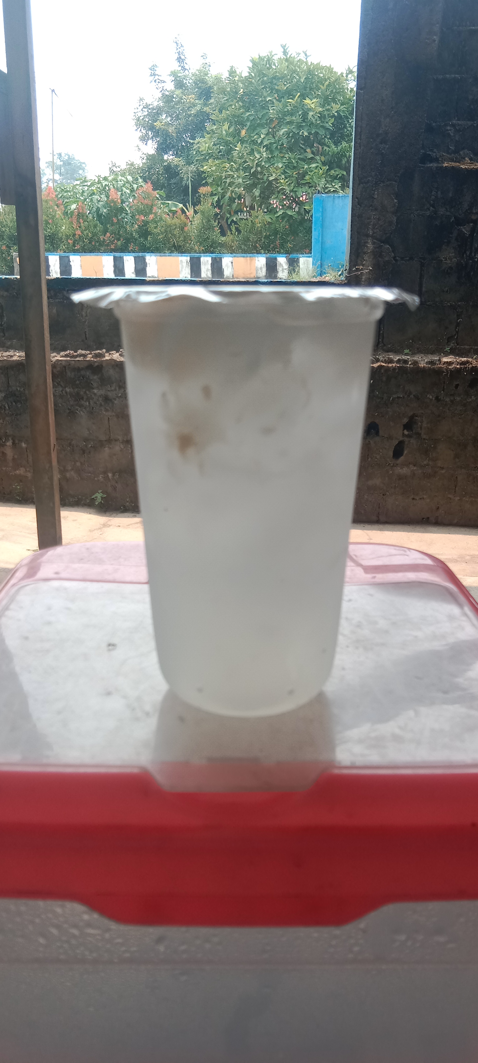 Es kelapa