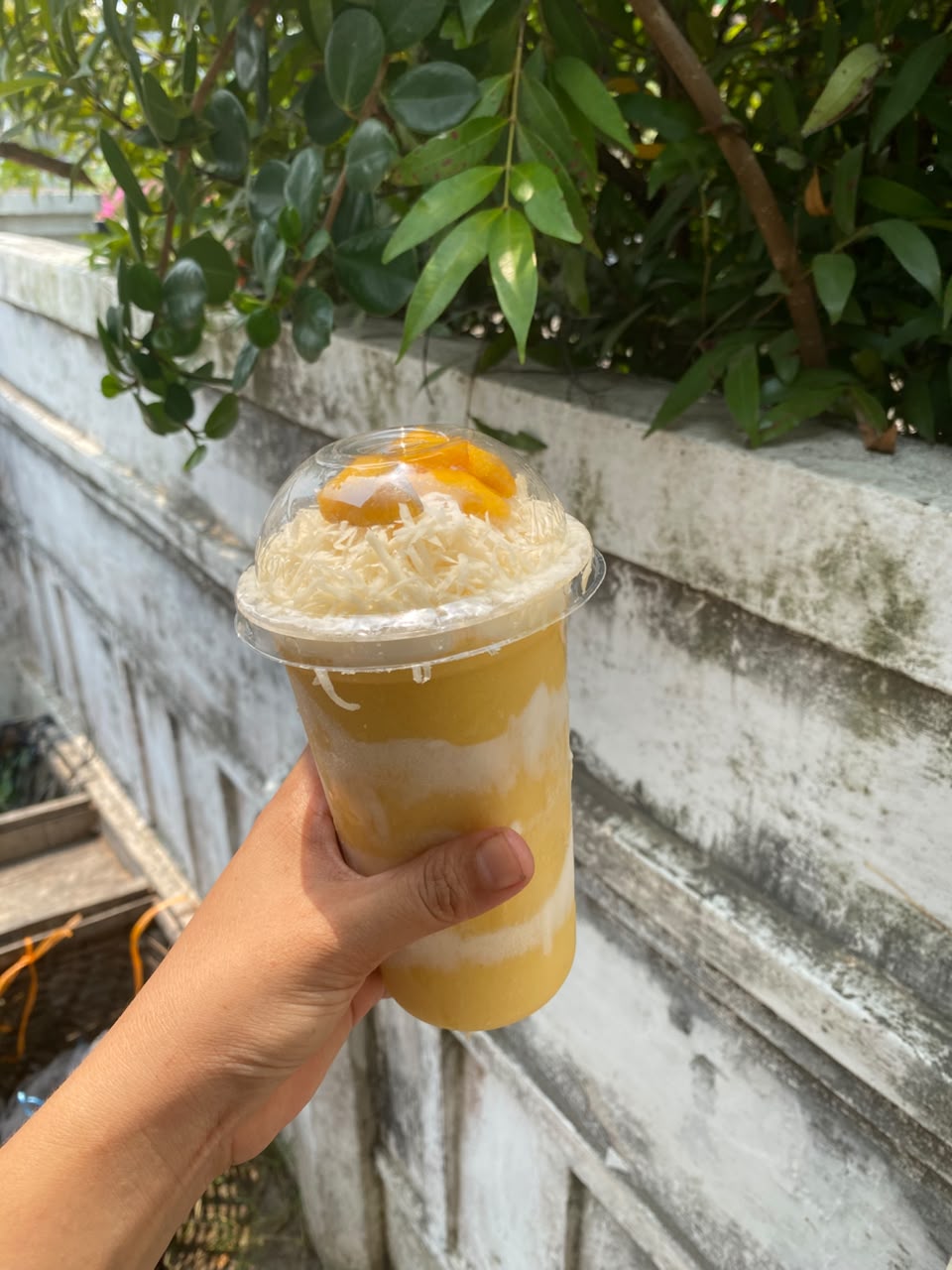 Smoothies Mangga