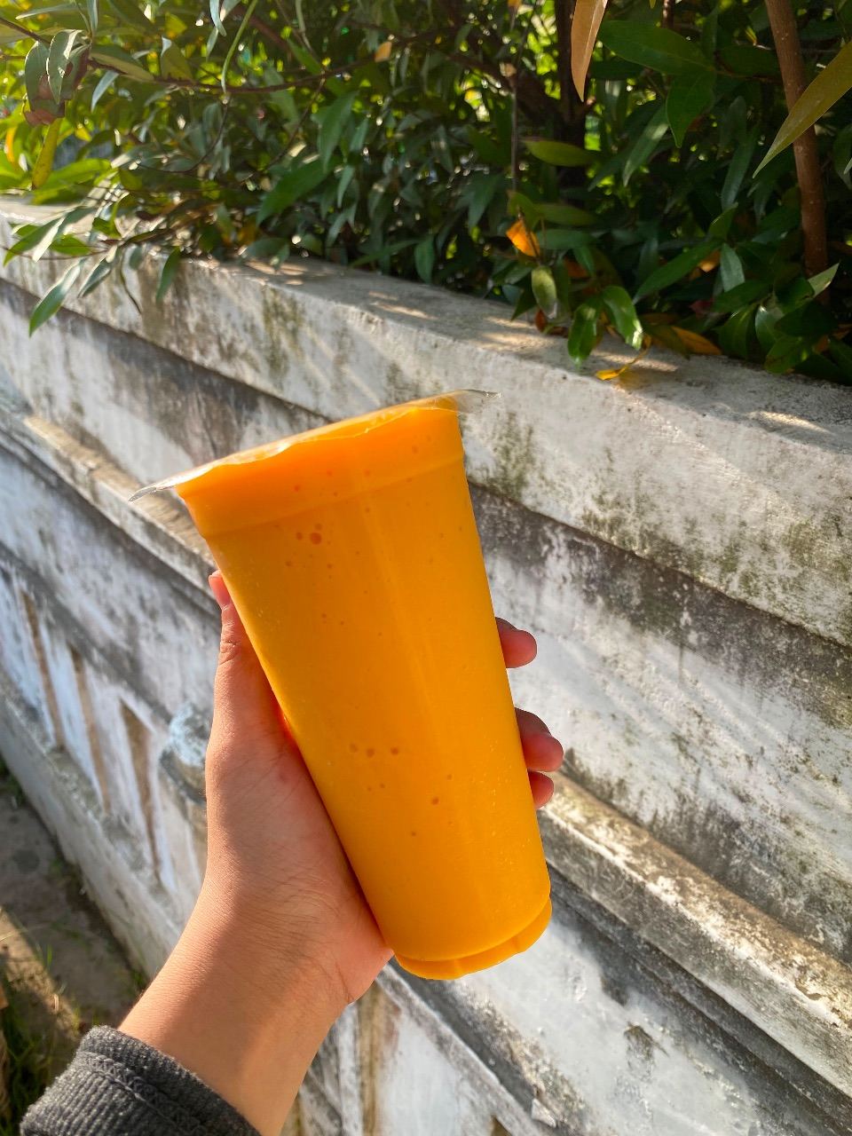 Jus Mangga