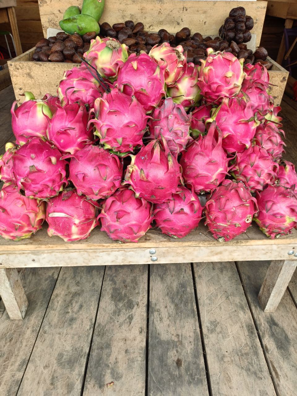 Buah naga